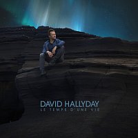 David Hallyday – Le temps d'une vie