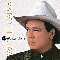 David Lee Garza – 10 Grandes Exitos