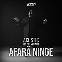 Přední strana obalu CD Afară ninge [Acustic]