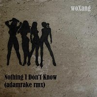 woXang – Nothing I Don’t Know (adamrake Remix)