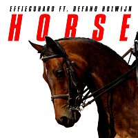 EFFIEGOHARD, Défano Holwijn – Horse