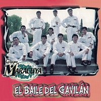 Grupo Maracuya – El Baile Del Gavilán