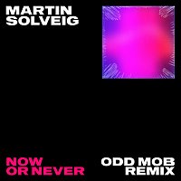 Martin Solveig, Faouzia – Now Or Never [Odd Mob Remix]