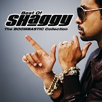 Přední strana obalu CD The Boombastic Collection - Best Of Shaggy [International Version]