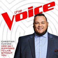 Christian Cuevas – How Am I Supposed To Live Without You [The Voice Performance]