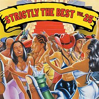 Various  Artists – Strictly The Best Vol. 25