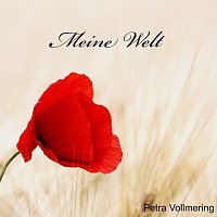 Přední strana obalu CD Meine Welt