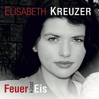 Feuer küsst Eis