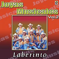 Grupo Laberinto – Joyas Musicales: Dedicadas a Ustedes, Vol. 2