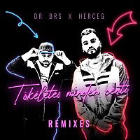 DR BRS, Herceg – Tökéletes minden centi (Remixes)