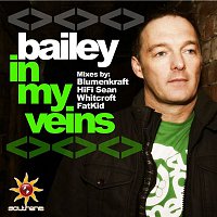 Bailey – In My Veins