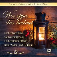 Různí interpreti – Wos eppa dös bedeut' / Gesang-Saitenmusik-Weisenbläser
