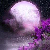 Přední strana obalu CD Meet Me Under The Moon