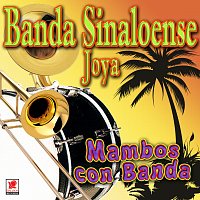 Banda Sinaloense Joya – Mambos Con Banda