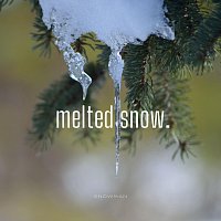 Přední strana obalu CD Melted Snow