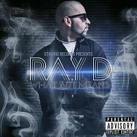 Ray D. – What Art Means