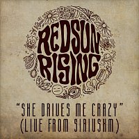 Red Sun Rising – She Drives Me Crazy [Live From SiriusXM]