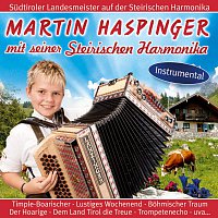 Martin Haspinger – mit seiner Steirischen Harmonika
