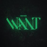 Iman Fandi – WANT