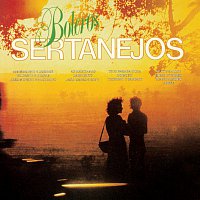 Přední strana obalu CD Boleros Sertanejos