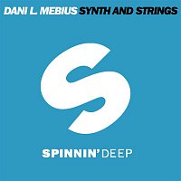 Dani L. Mebius – Synth and Strings