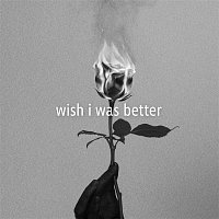 Přední strana obalu CD Wish I Was Better