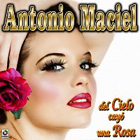 Antonio Maciel – Del Cielo Cayó una Rosa