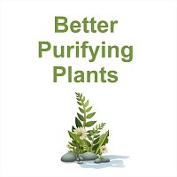 Better Purifying Plants
