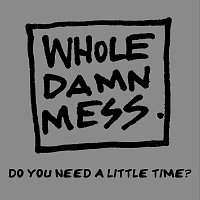 Whole Damn Mess – Do You Need A Little Time?