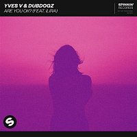 Yves V & Dubdogz – Are You OK? (feat. ILIRA) [Extended Mix]