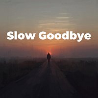 Přední strana obalu CD Slow Goodbye