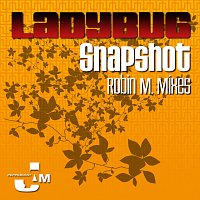 Ladybug – Snapshot