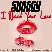 Shaggy, Mohombi, Faydee & Costi – I Need Your Love