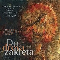 Cimbálová muzika Technik, Ensemble Flair, Jan Rokyta – Do dřeva zakletá