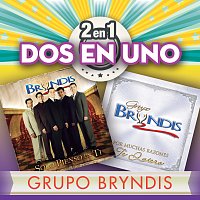 Grupo Bryndis – 2En1