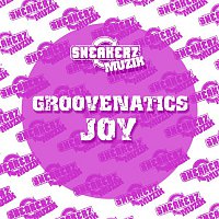 Groovenatics – Joy