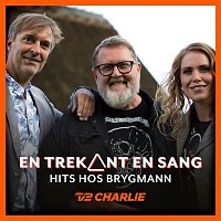 Various  Artists – En Trekant En Sang 7 - Hits Hos Brygmann