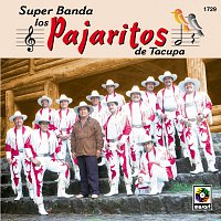 Los Pajaritos de Tacupa – Super Banda Los Pajaritos De Tacupa
