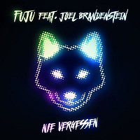 Fuju – Nie vergessen (feat. Joel Brandenstein)
