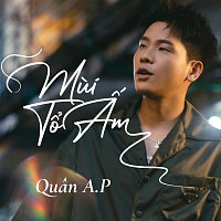 Quan A.P, H?a Kim Tuy?n – Mui T? ?m