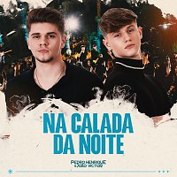 Pedro Henrique e Joao Victor – Na Calada Da Noite [Ao Vivo]