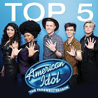 Přední strana obalu CD American Idol Top 5 Season 15