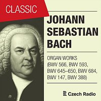 J. S. Bach: Organ Works