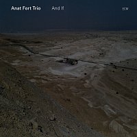 Anat Fort Trio – And If