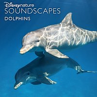 Disneynature Soundscapes – Disneynature Soundscapes: Dolphins