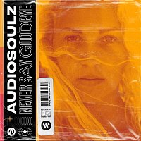 Audiosoulz – Never Say Goodbye