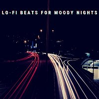 Různí interpreti – Lo-Fi Beats for Moody Nights