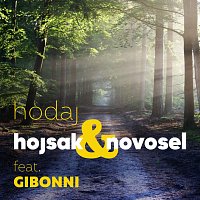 Hojsak, Novosel, Gibonni – Hodaj