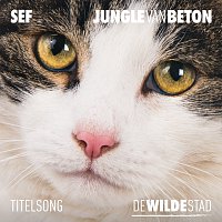 Sef – Jungle Van Beton [Titelsong "De Wilde Stad"]