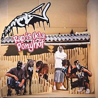 Die Vamummtn – Rap is (K)a Ponyhof